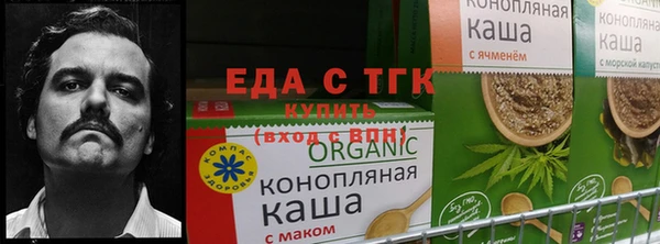 ПСИЛОЦИБИНОВЫЕ ГРИБЫ Алзамай