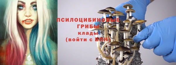 ПСИЛОЦИБИНОВЫЕ ГРИБЫ Алзамай