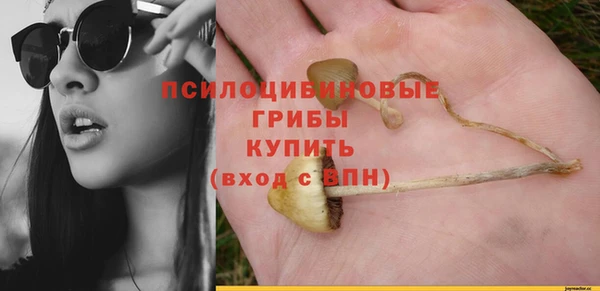 СК Алексеевка