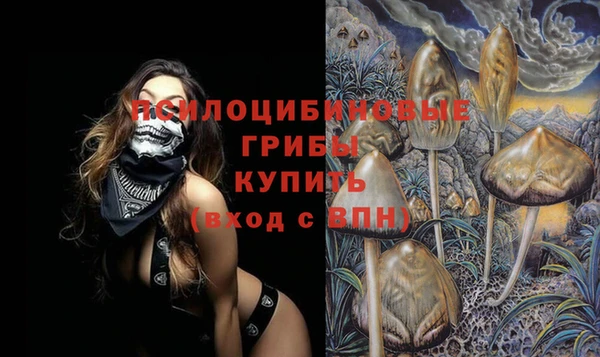 a pvp Алексин