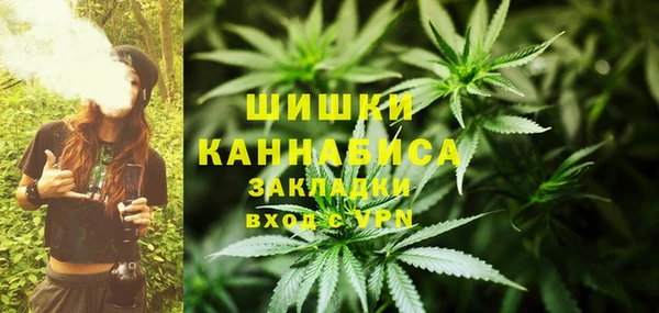 ПСИЛОЦИБИНОВЫЕ ГРИБЫ Алзамай