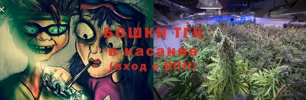 ПСИЛОЦИБИНОВЫЕ ГРИБЫ Алзамай