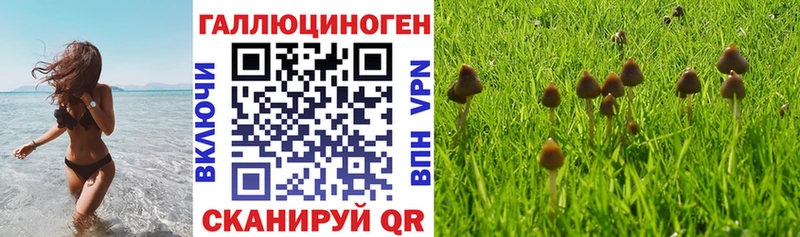 mega зеркало  что такое наркотик  Петушки  Псилоцибиновые грибы MAGIC MUSHROOMS 